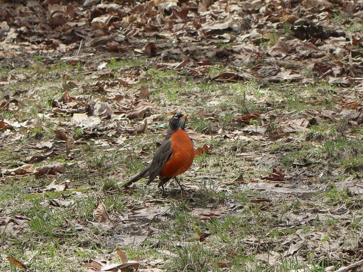 🪻heather 𐔌՞. .՞𐦯 tweet media