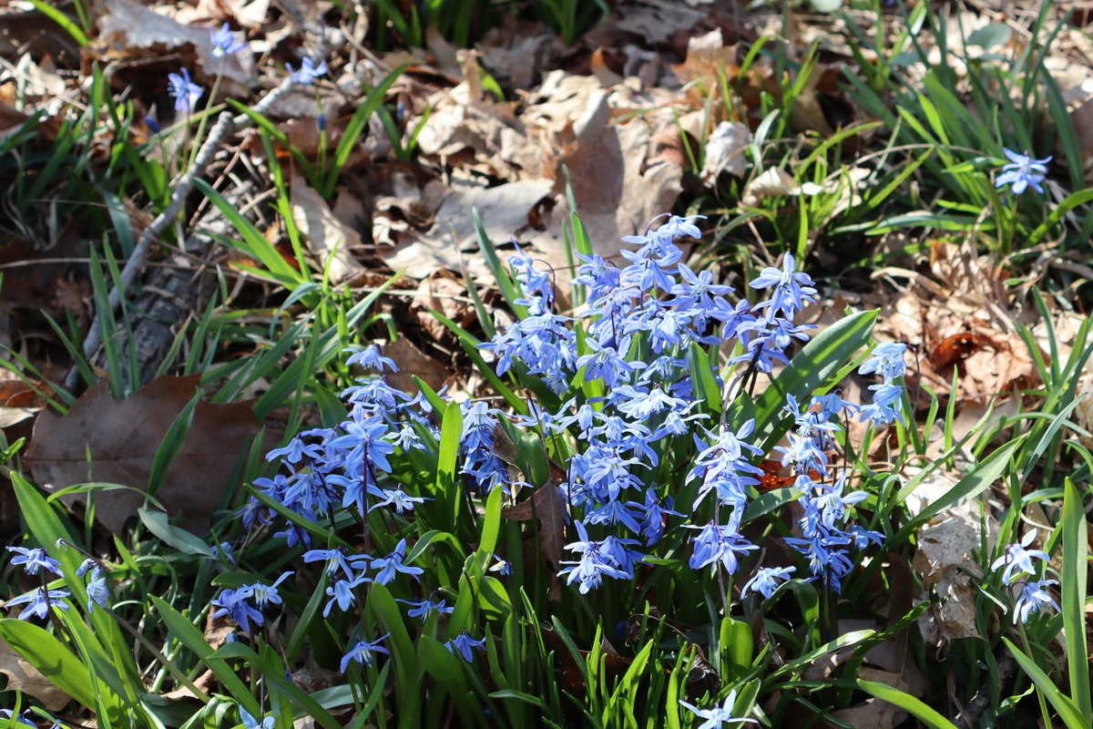 🪻heather 𐔌՞. .՞𐦯 tweet media