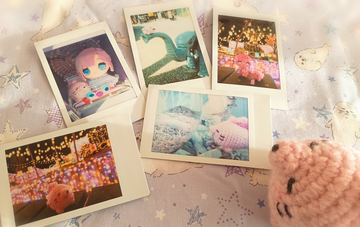 あにょざらし観測記 tweet media