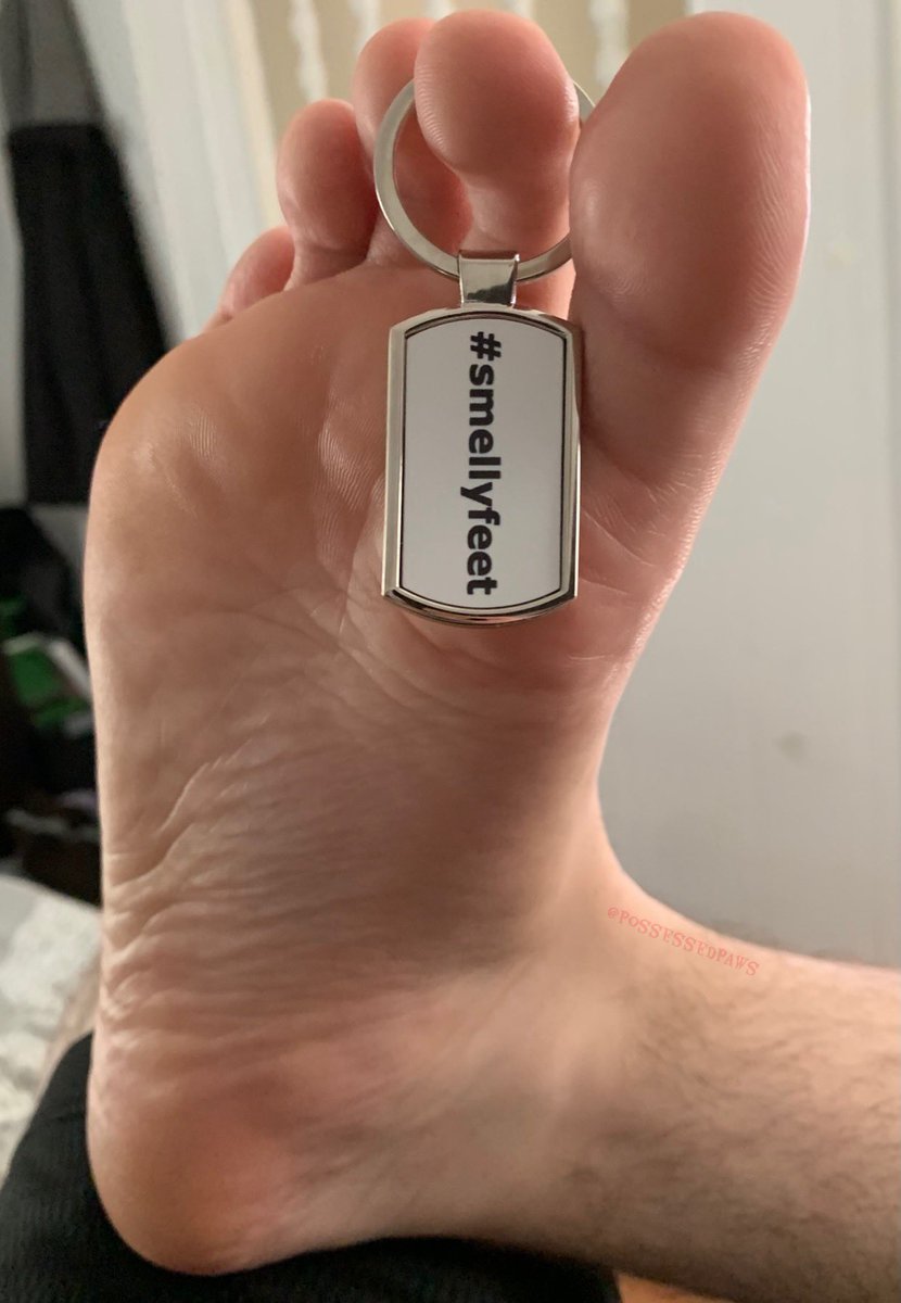 EctoPuppyAD tweet media