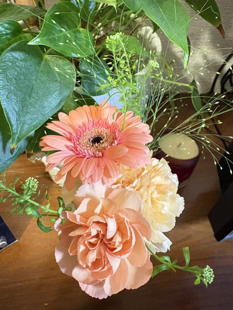 猫之介 tweet media