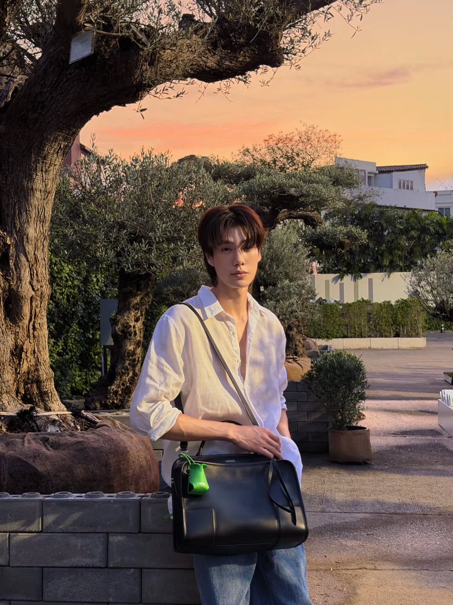 SiamParagon tweet media