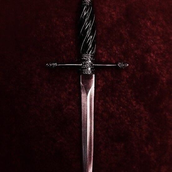 ✧⁠*⁠。Florian Klein・⁠・⁠・ tweet media