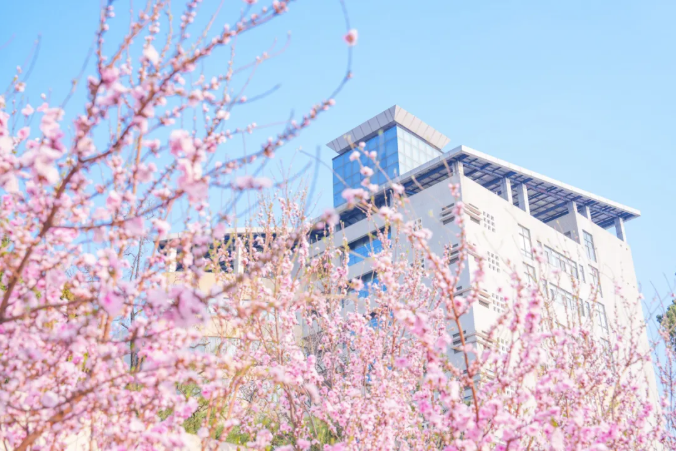 BUPT1955's tweet photo. 🌼 Spring is in full bloom at #BUPT! Enjoy the vibrant flowers and fresh greenery as our campus comes alive. Capture the beauty and relish the harmony of nature and youth. Let's embark on a spring journey together! 🌿📸 #SpringAtBUPT https://t.co/R3BQapxLEH