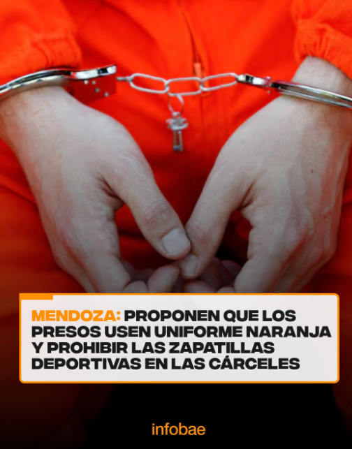 Tv Pública Libertaria tweet media