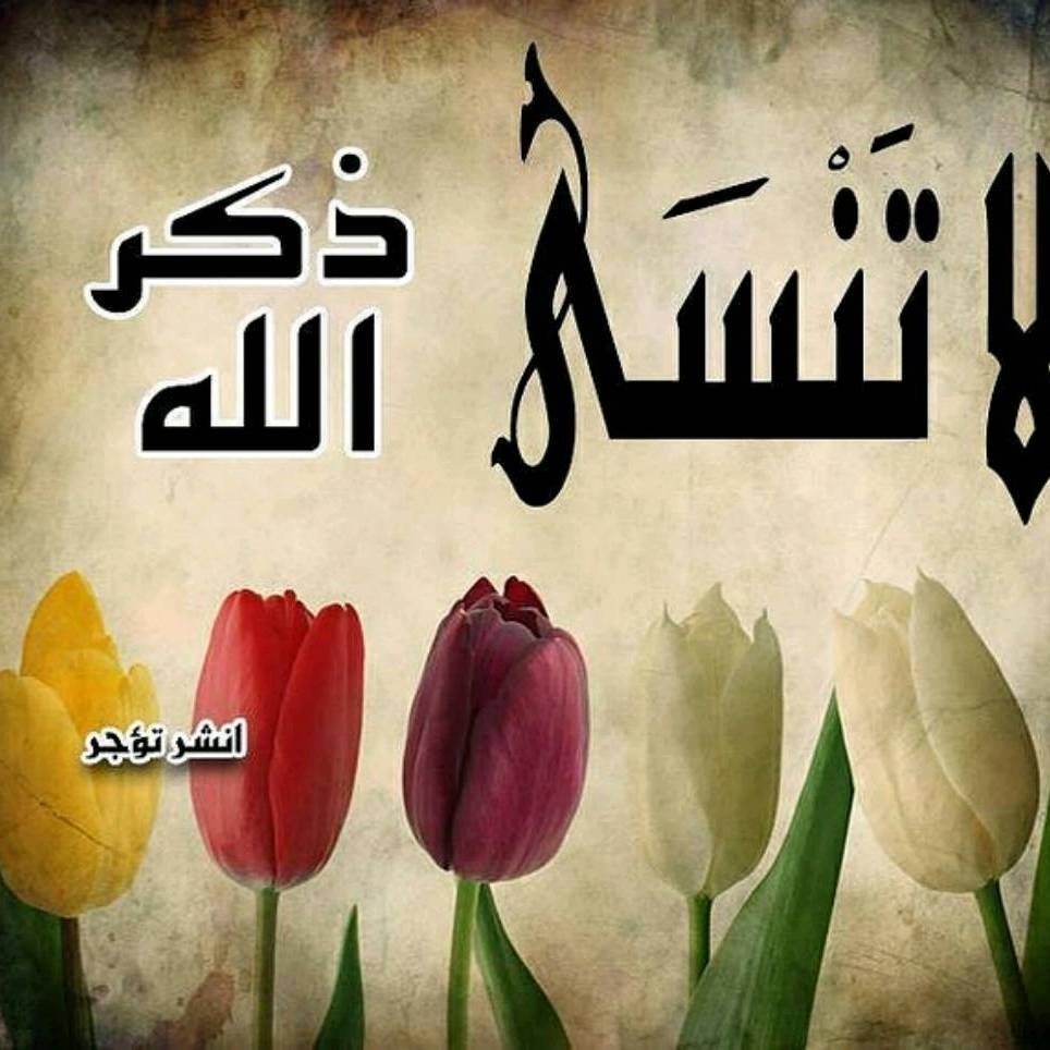 عبدالله الفريدي tweet media