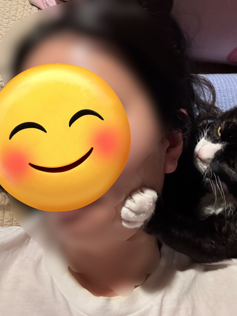 핑핑루루 tweet media