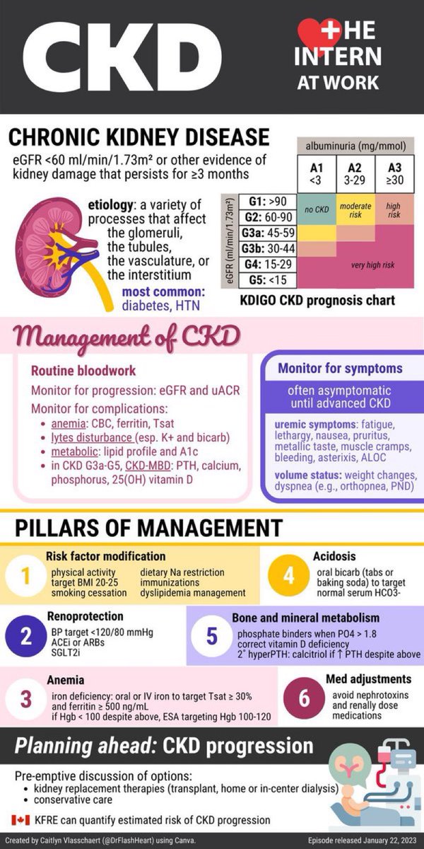 TrackYourHeart's tweet photo. Chronic Kidney Diseases😍 https://t.co/7ZaQFZ0rcc