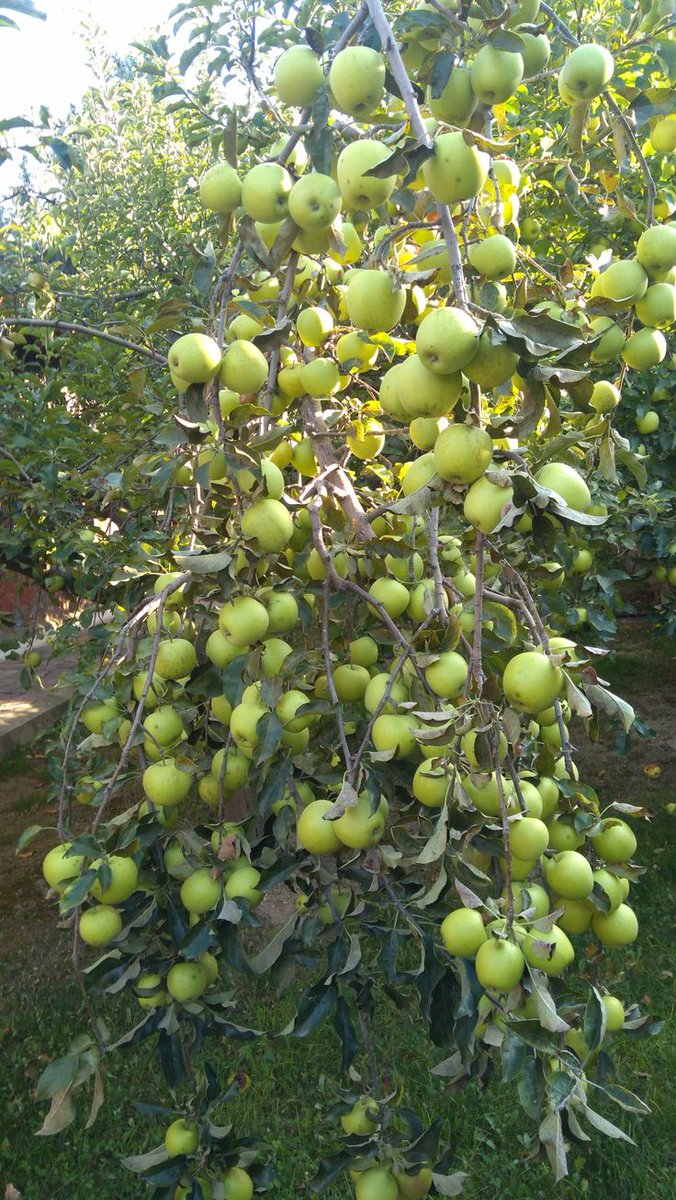 *loving boy* tweet media