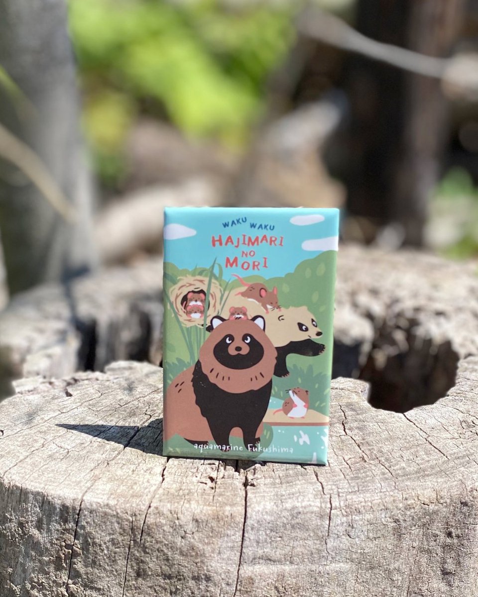 【公式】アクアマリンふくしま tweet media