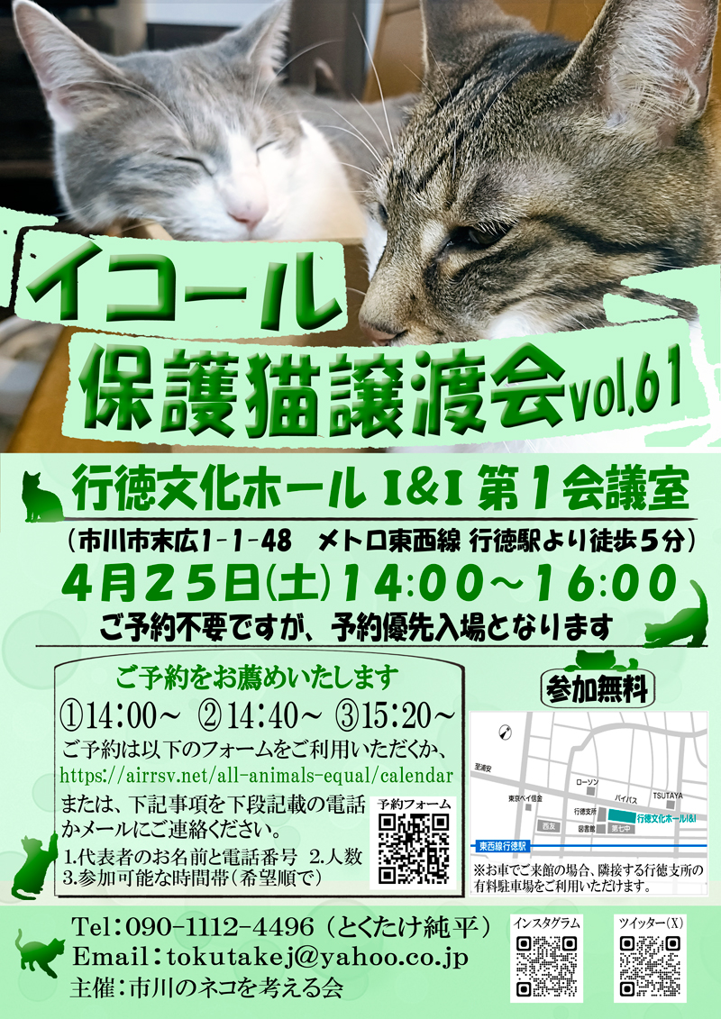 イコール保護猫譲渡会【５/２３（土）１４:００〜１６:００ 市川市 行徳文化ホールＩ＆Ｉ 第１会議室 tweet media