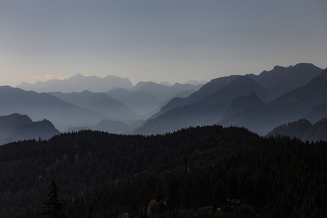 Jennifer Smith tweet media