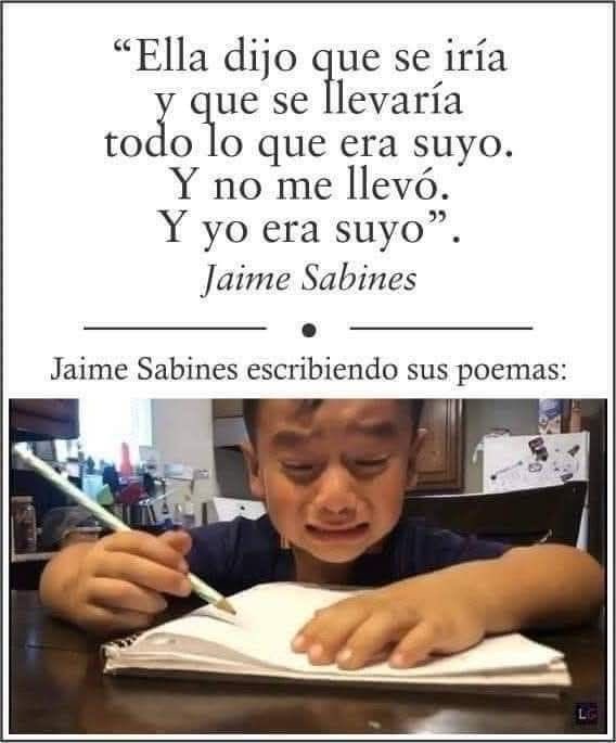 Cementerio De Libros tweet media