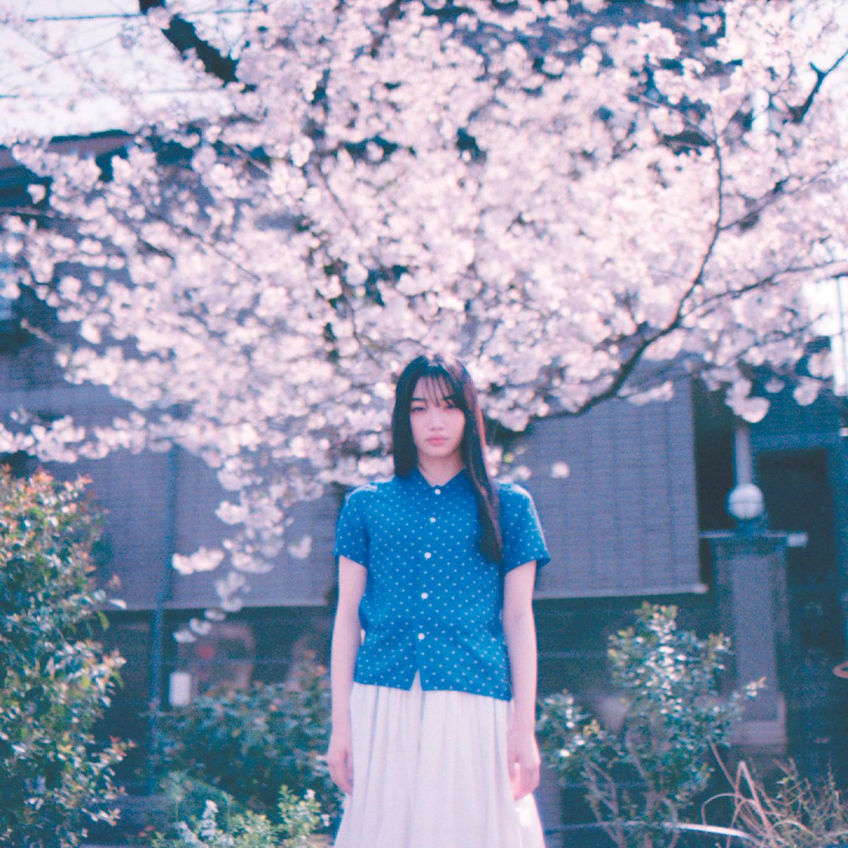 Cloudy57854044's tweet photo. New song released today！🛰️☁️

Floating Clouds / 死魚眼 ∞ 増井湖々

🎧 https://t.co/q7PZmsr1cw

大河ドラマ「豊臣兄弟！」など出演の若手実力派女優、増井湖々、謎の音楽家、死魚眼、独自の世界観で注目の若手写真・映像作家、フジムラヒヨリの3者によるコラボシングルが本日配信リリース！ https://t.co/pFDrIyRKeg