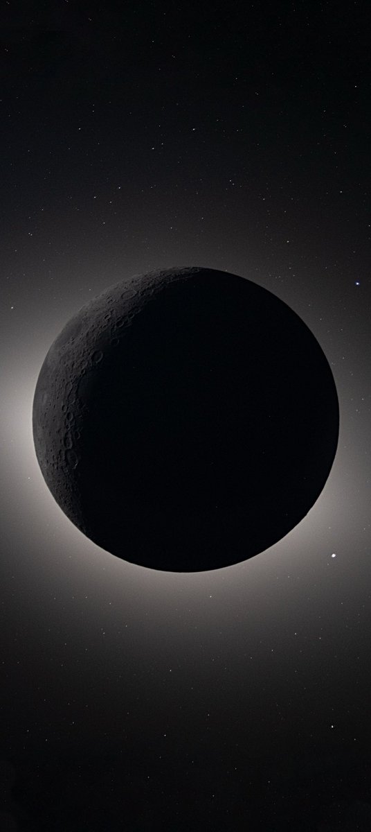 C 🇨🇦 tweet media