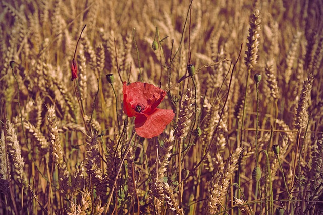 James Finch tweet media