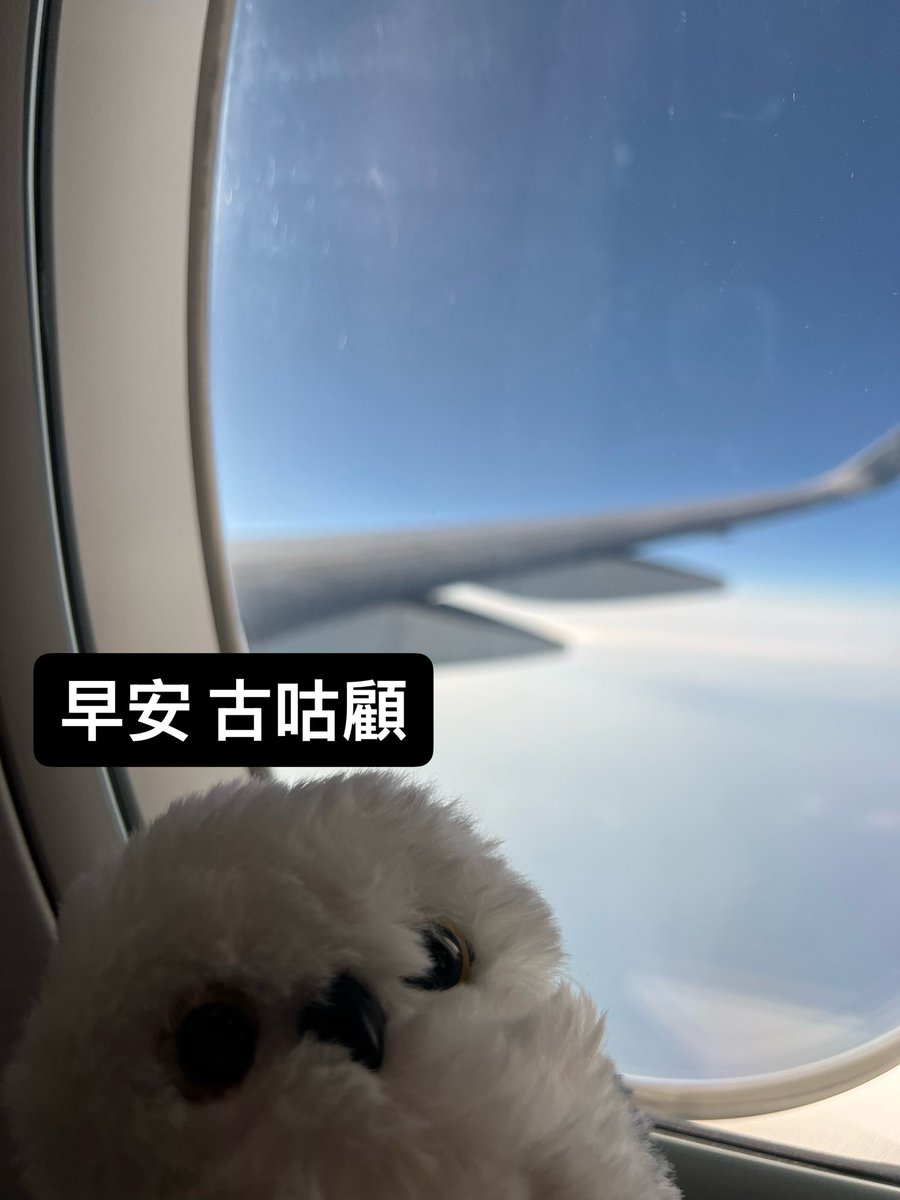 球球 (@ballball4layala) on Twitter photo 