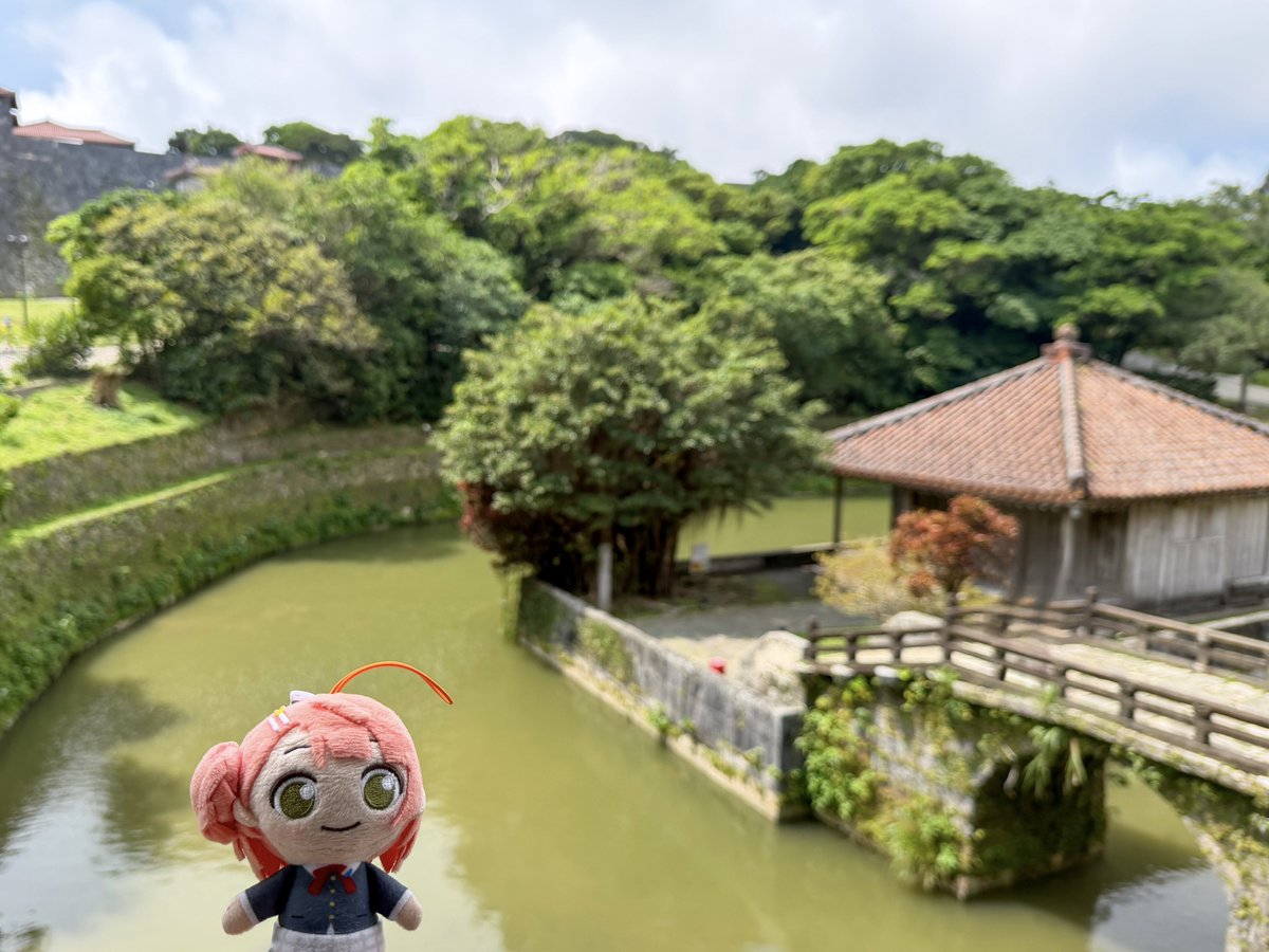 ゆうひちゃん tweet media