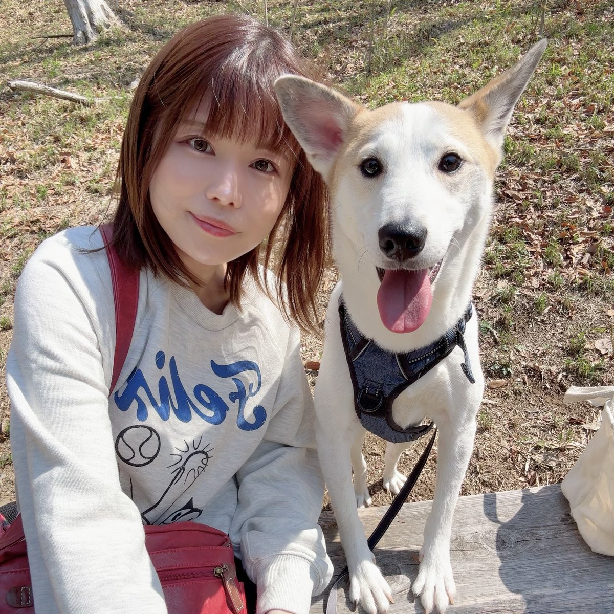 SANWA｜はるミー tweet media