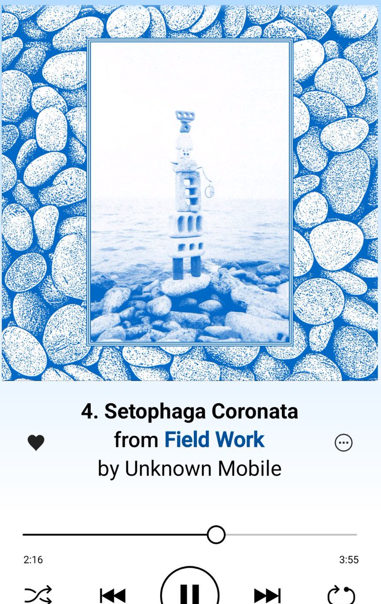 David James 🍩 tweet media