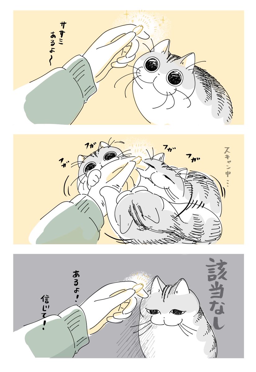 キュルZ tweet media