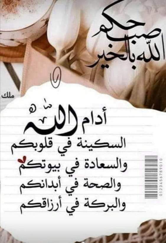 محمد المغيري tweet media