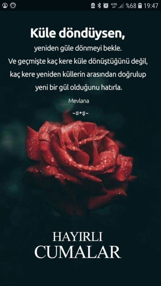 ahiret icin calısan (@cukadarzab1749) on Twitter photo 