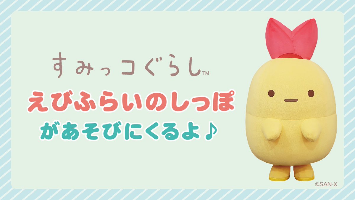 サンエックス【公式】 tweet media