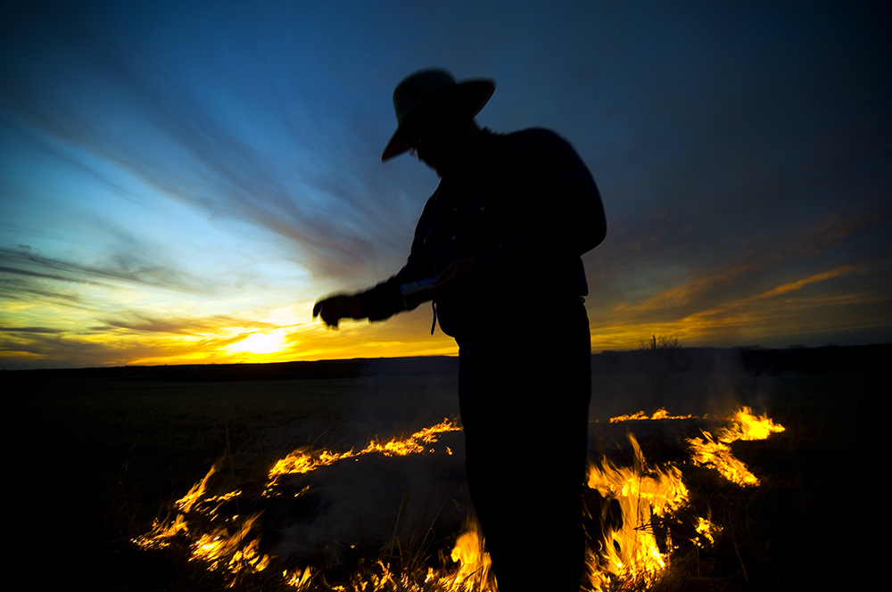 chip simons tweet media