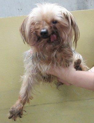 🦋* R U I *🦋 いのちと向き合う いつもありがとうございます NO WAR tweet media