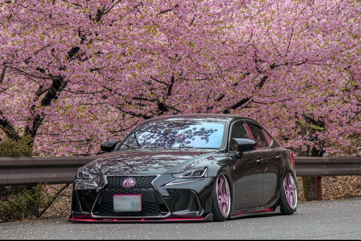 【SUPER STAR CO.,LTD.】スーパースターホイール tweet media