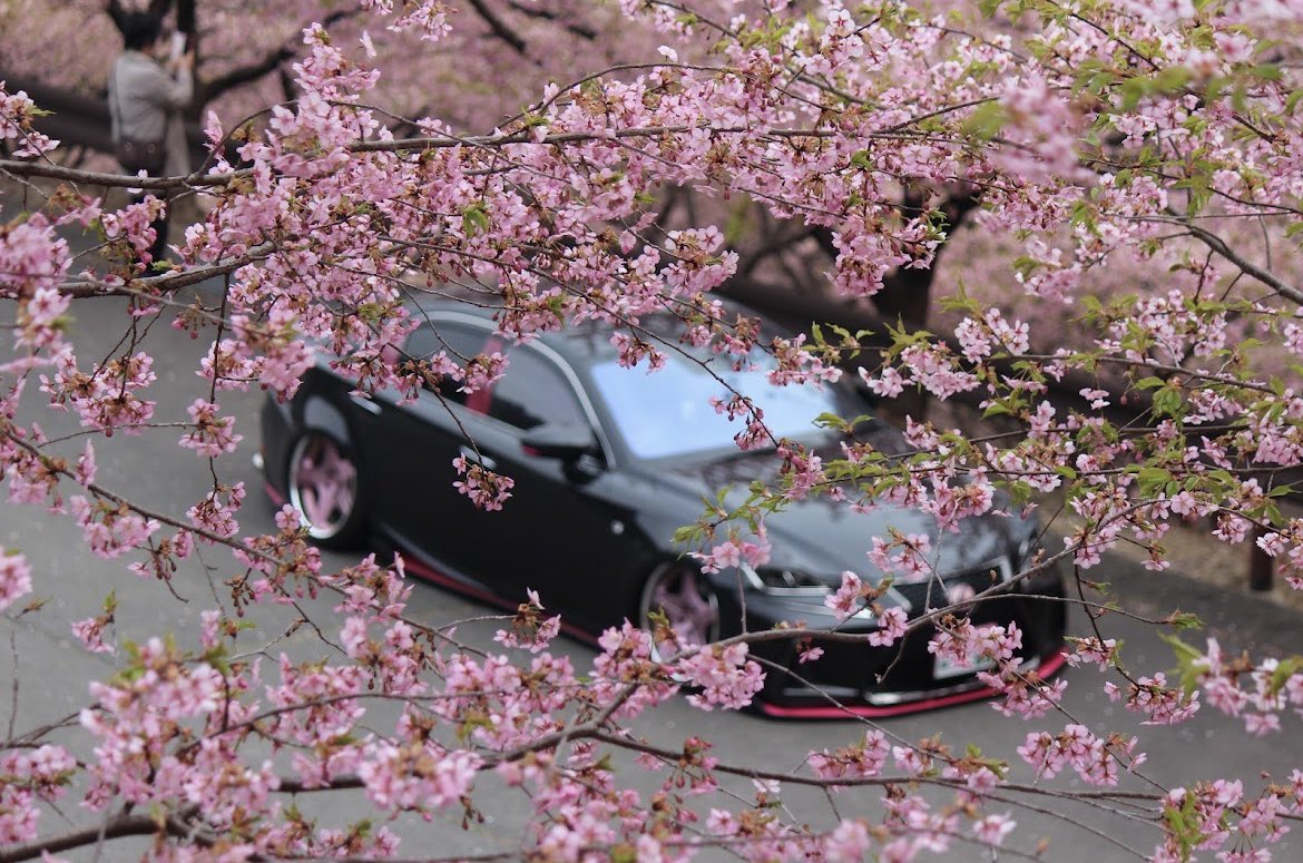 【SUPER STAR CO.,LTD.】スーパースターホイール tweet media