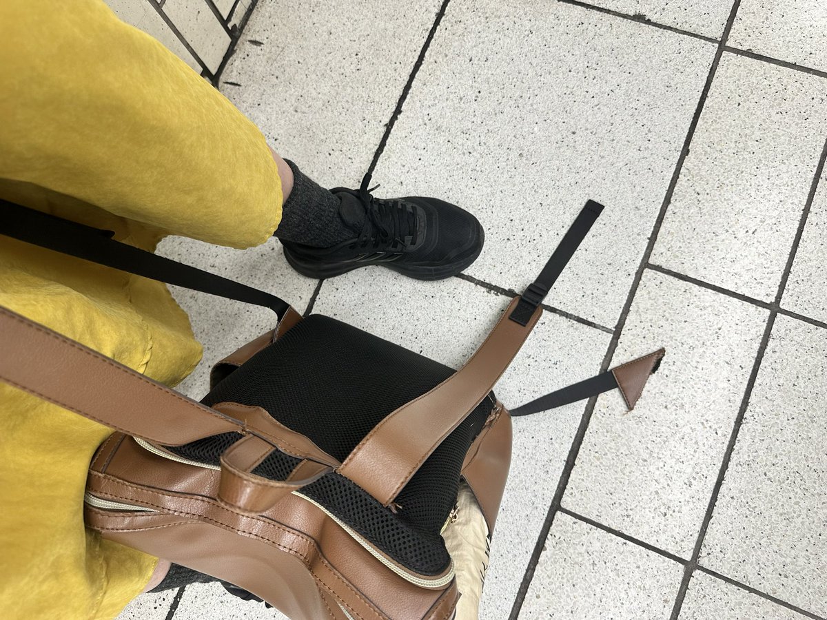 大変です！
通勤途中にも関わらず、さちこの愛用リュックが突如破損しました！！
もう背負えません！！
助けて〜