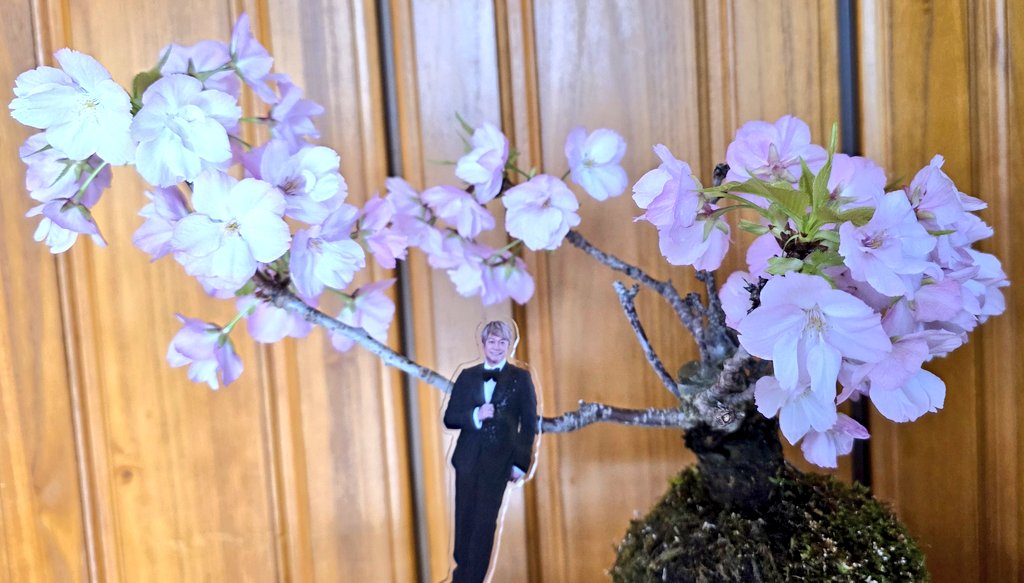 kuroshibi(・×・)🌟 tweet media