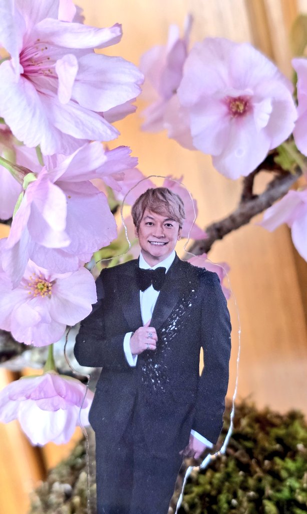 kuroshibi(・×・)🌟 tweet media