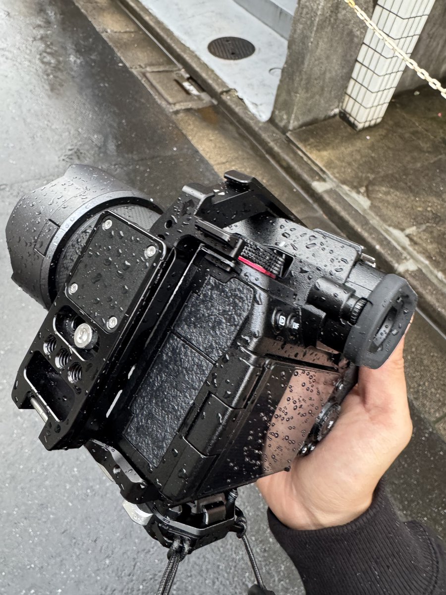 유 연 📸 tweet media