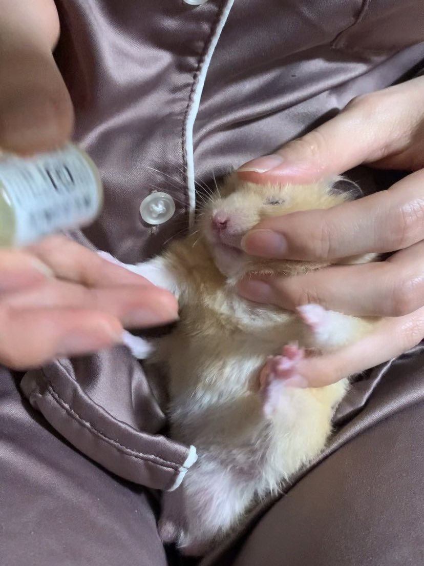 口元に指があっても絶対に噛まなくて、手で「ｲﾔ!!!‼︎!」してくる😢