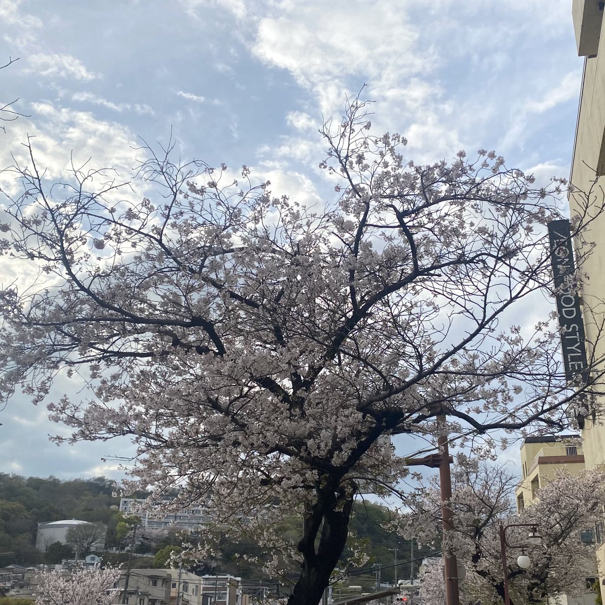 mitchang_UGS tweet media