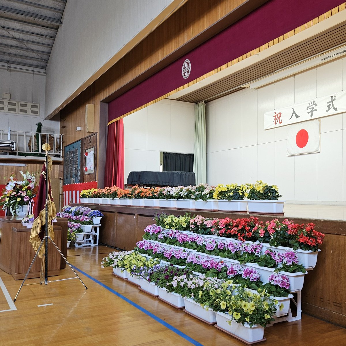 岡田ちか(柏市議会議員) ☆立憲民主党☆ tweet media