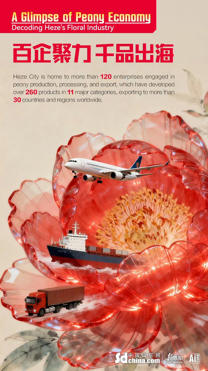 Amazing Weifang tweet media