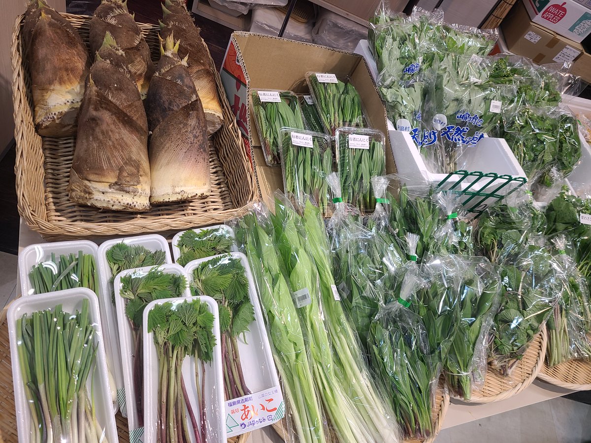 daika_otsuchi's tweet photo. ４月10日🥬山菜入荷！🥬
＃岩手　＃山菜　＃八百屋 https://t.co/YoIr2Jaa5H