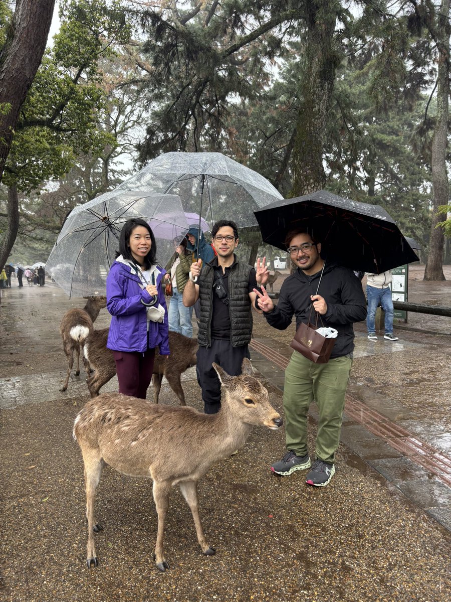 奈良学生ガイド(Nara Student Guide) tweet media