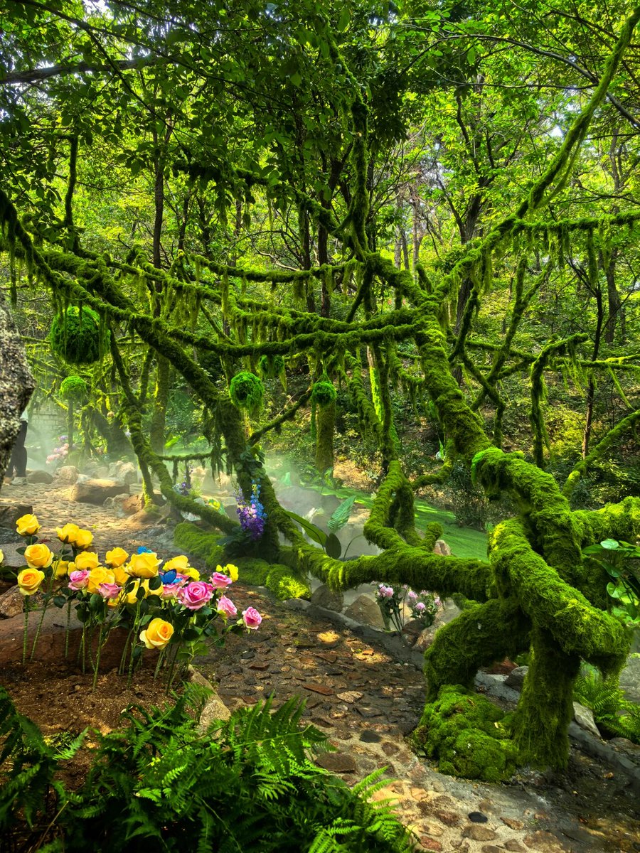 Amazing Weifang tweet media