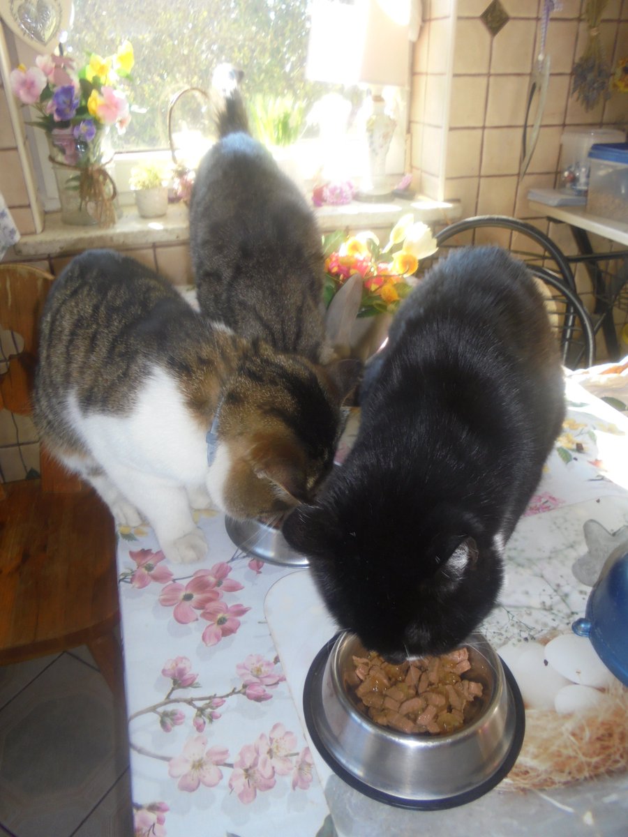 Maria Anna Fundacja Zdążyć do domu tweet media