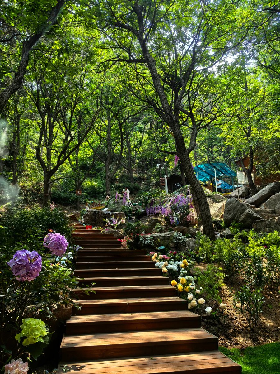 Amazing Weifang tweet media