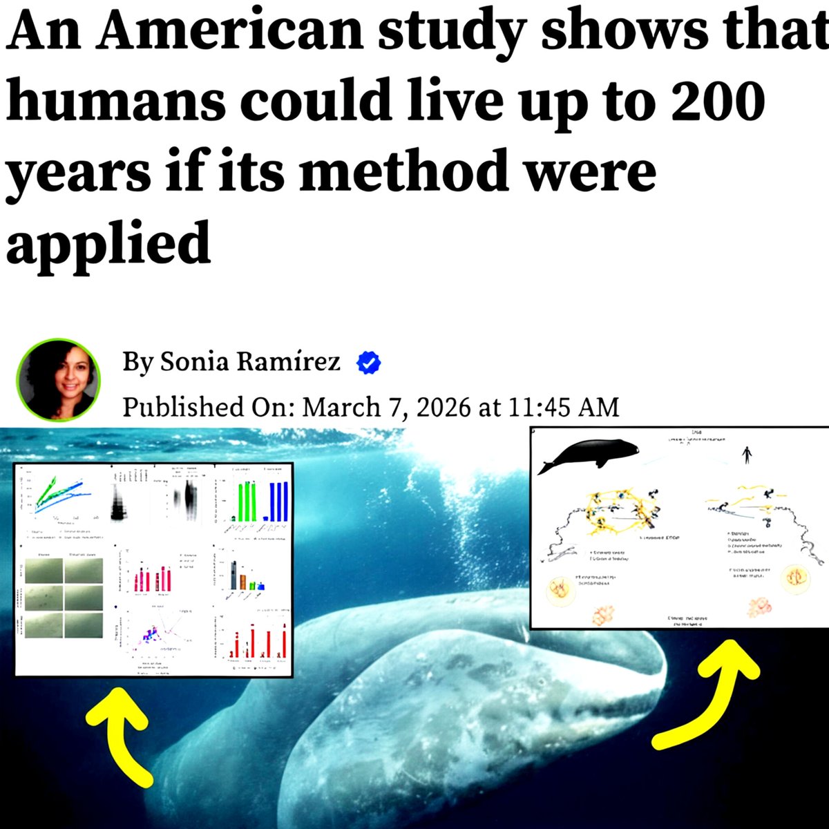 SciTech Era tweet media