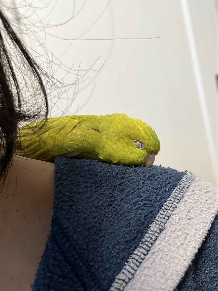 エール tweet media