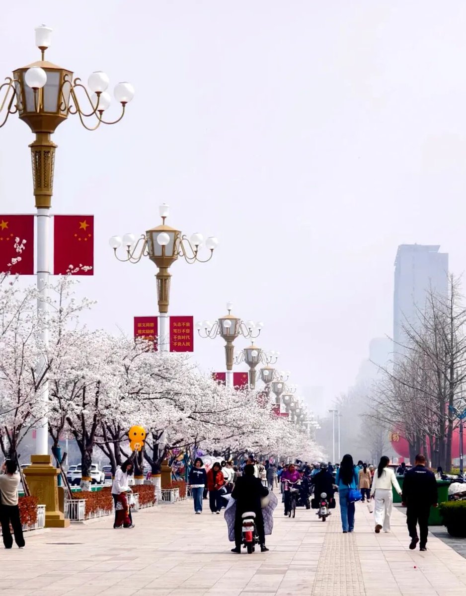 Amazing Weifang tweet media