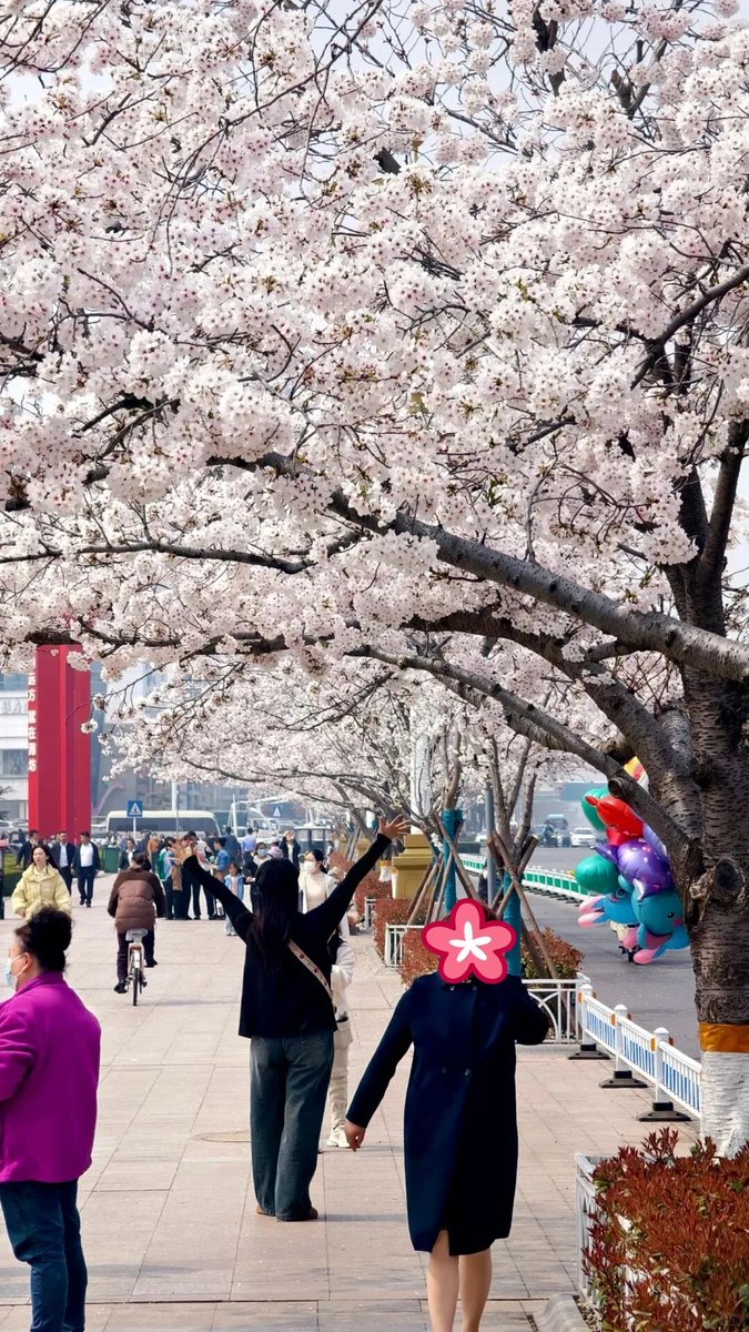 Amazing Weifang tweet media