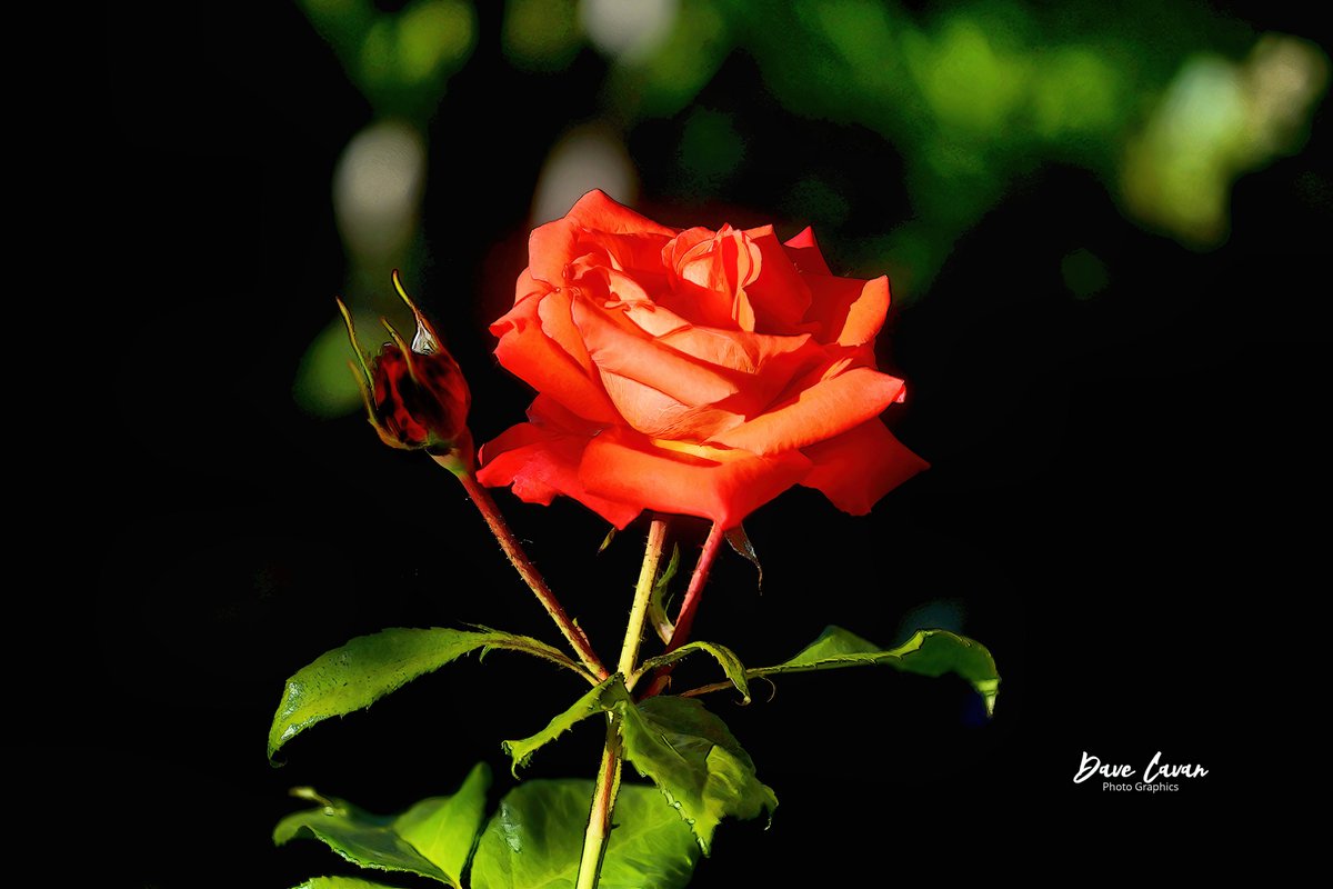 People touch our lives if only for a moment, And yet we're not the same from that moment on, The time is not important, The moment is forever."
Fern Bork